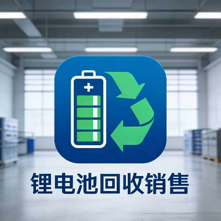 锂电贸易-师飞